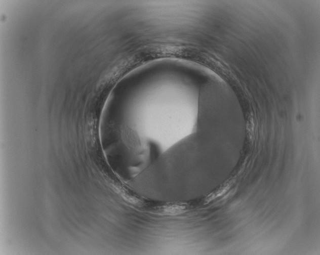 X0000075380462200609251156