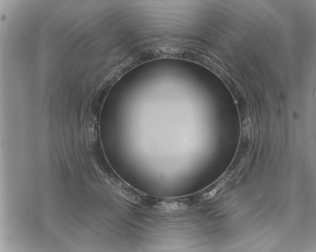 X0000075380464200609251156