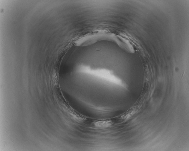 X0000075380465200609251156