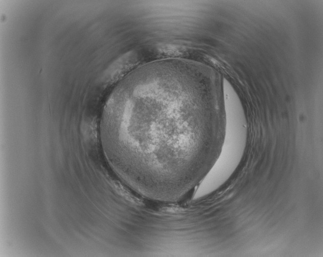 X0000075380466200609251156