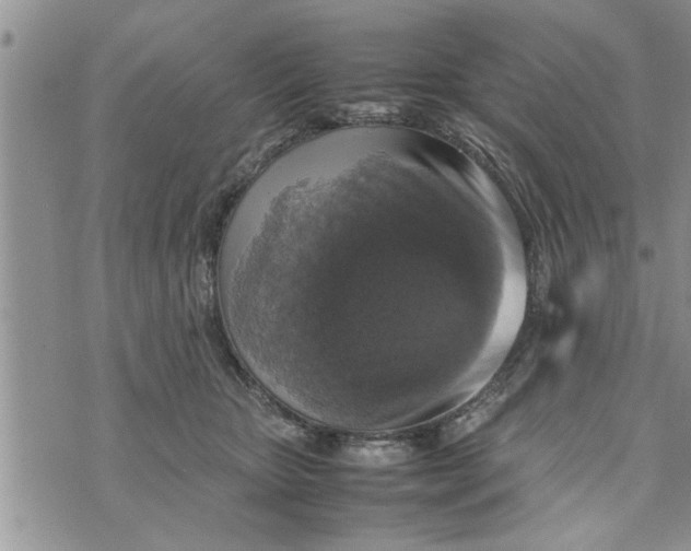 X0000075380467200609251156