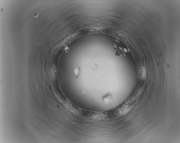 X0000075380468200609251156