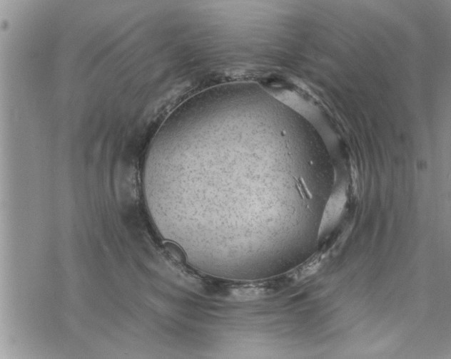 X0000075380470200609251156