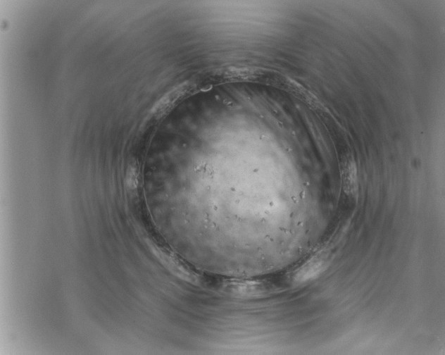 X0000075380472200609251157