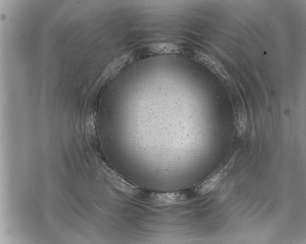 X0000075380473200609251157