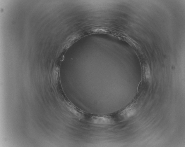 X0000075380475200609251157