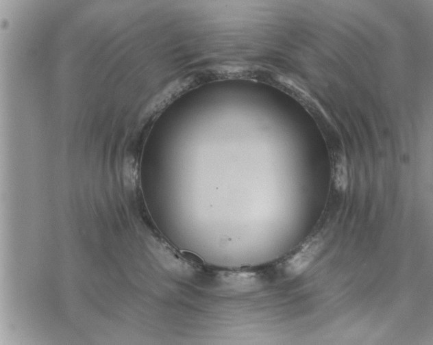 X0000075380476200609251157