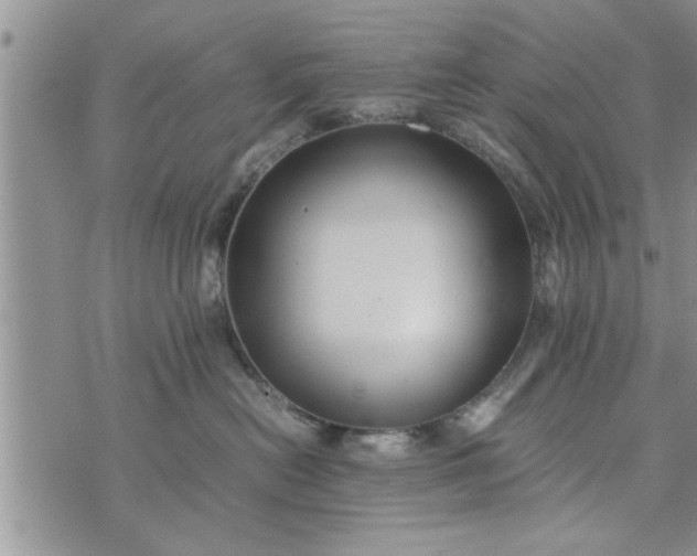 X0000075380478200609251157