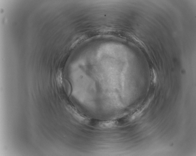 X0000075380479200609251157