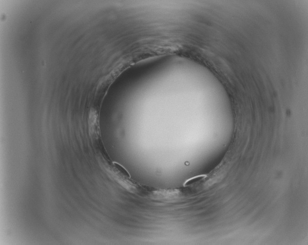 X0000075380480200609251157