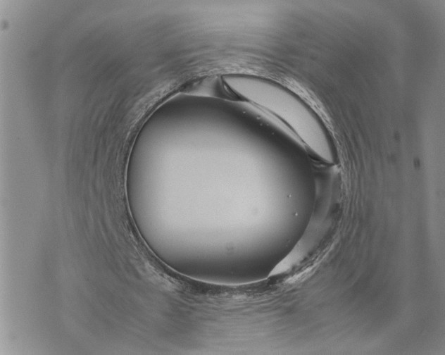 X0000075380481200609251156