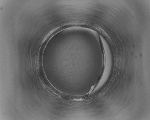 X0000075380484200609251156