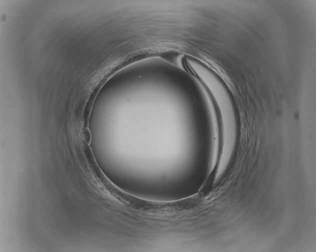 X0000075380485200609251156