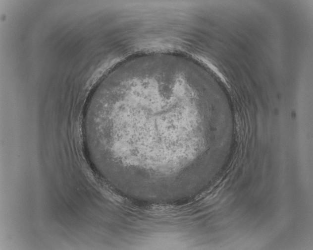 X0000075380487200609251156