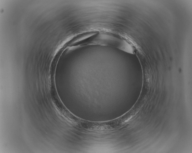 X0000075380488200609251156