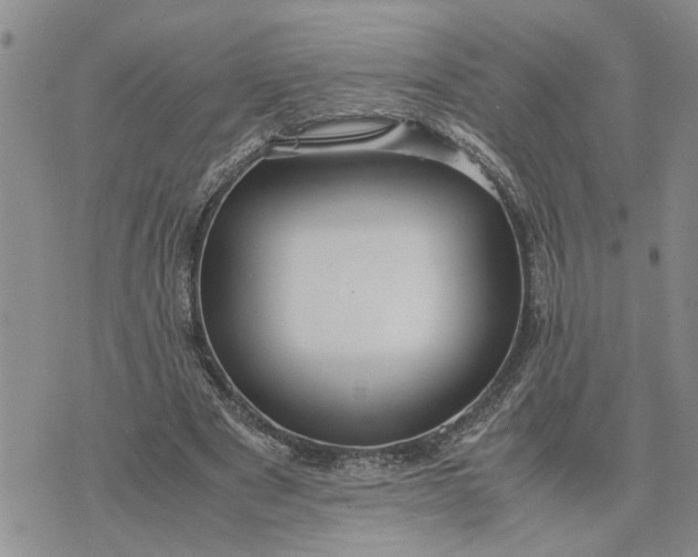 X0000075380489200609251156