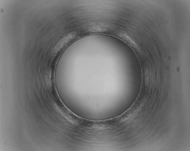 X0000075380490200609251156