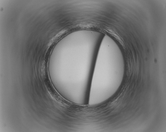 X0000075380492200609251156