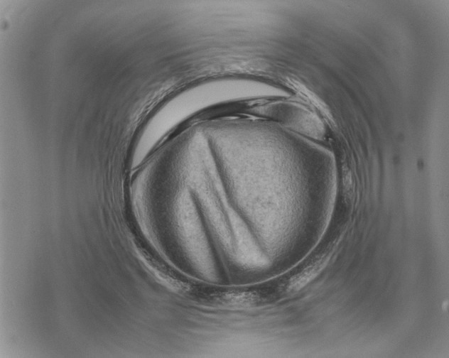 X0000075380493200609251156