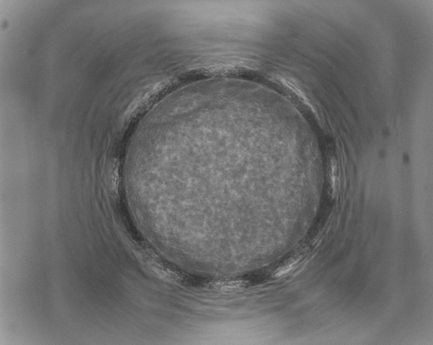 X0000075380495200609251156