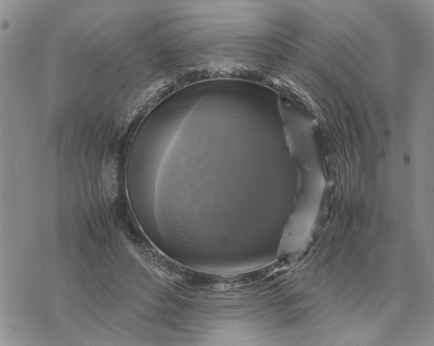 X0000075380496200609251156