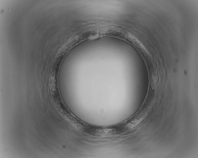 X0000075380497200609251156