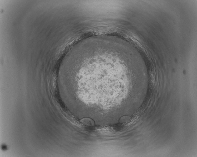 X0000075380499200609251156