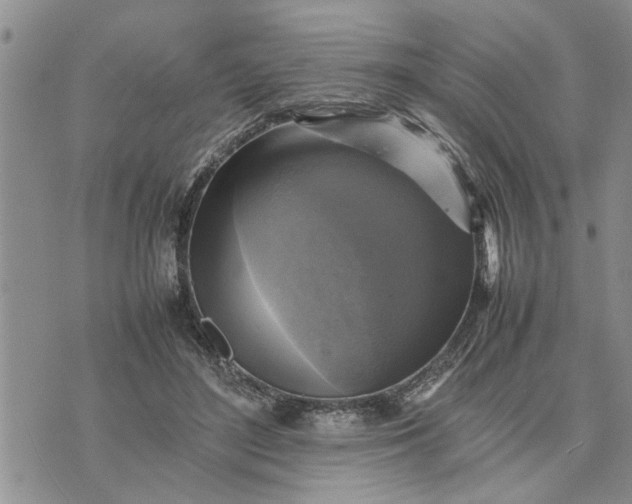 X0000075380500200609251156