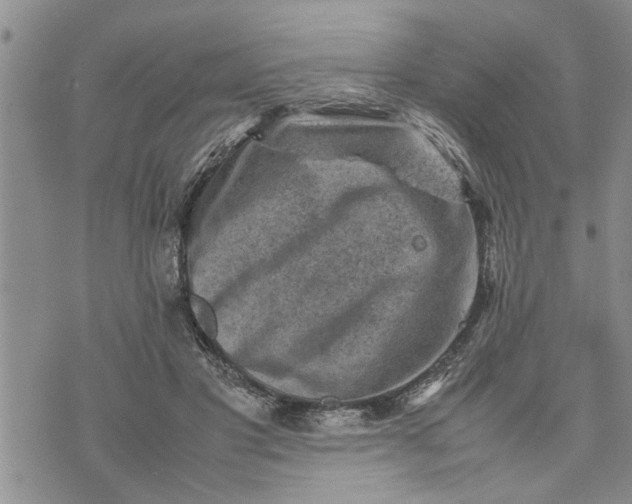 X0000075380501200609251156