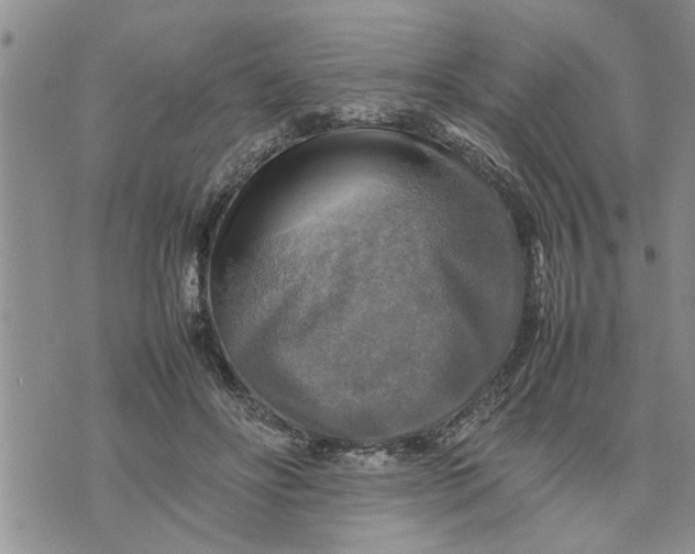 X0000075380502200609251155