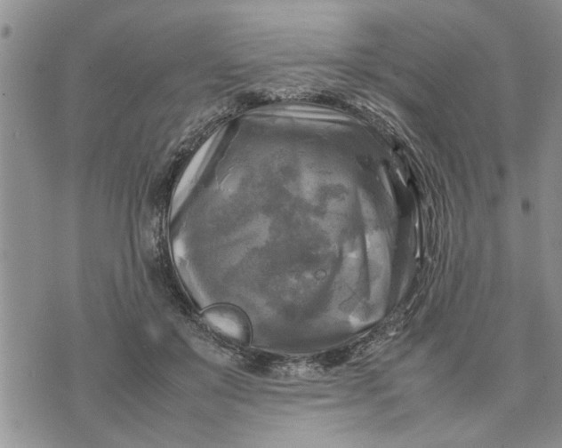 X0000075380503200609251155