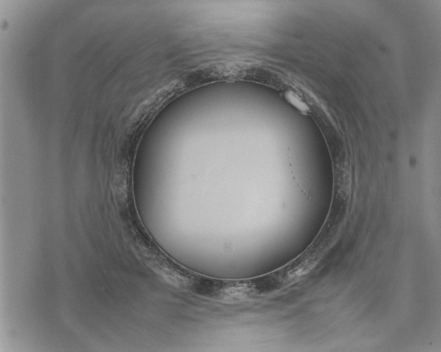 X0000075380505200609251155