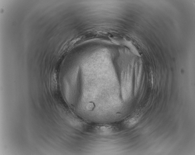 X0000075380506200609251155