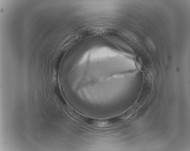 X0000075380507200609251155