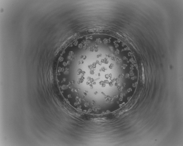 X0000075380508200609251155