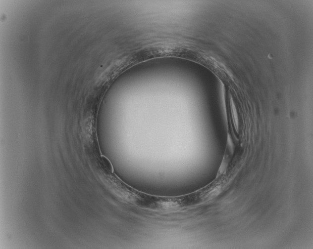 X0000075380509200609251155