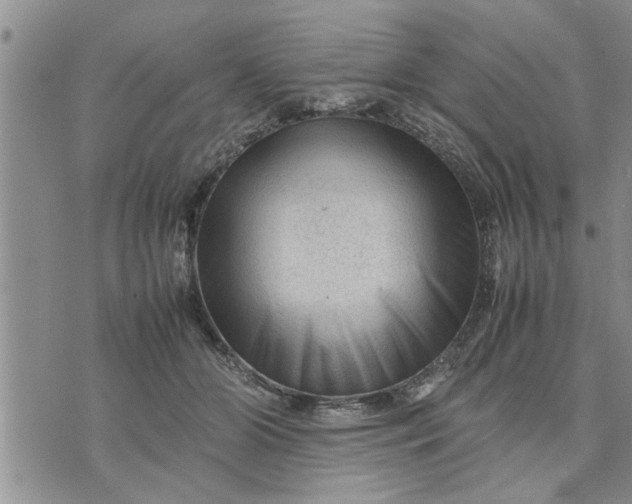 X0000075380510200609251155