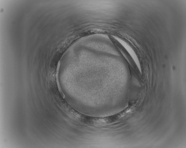 X0000075380513200609251155