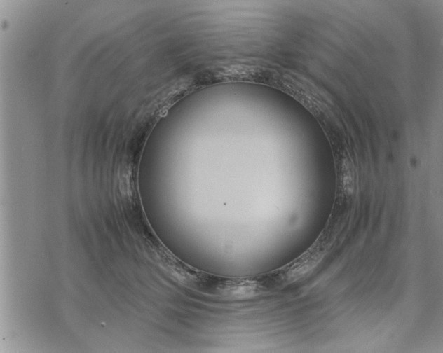 X0000075380514200609251155