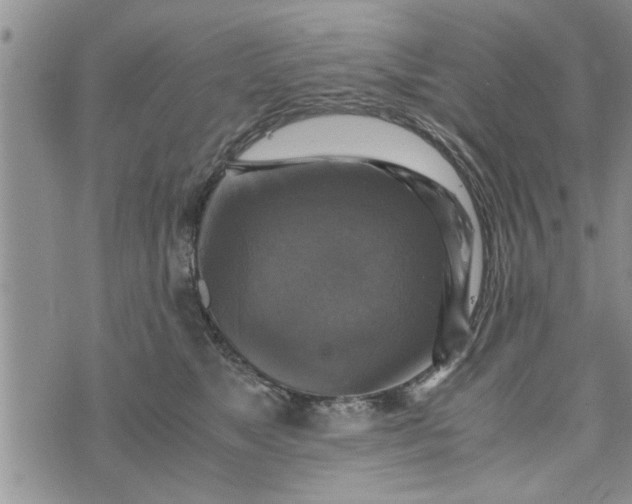 X0000075380517200609251155