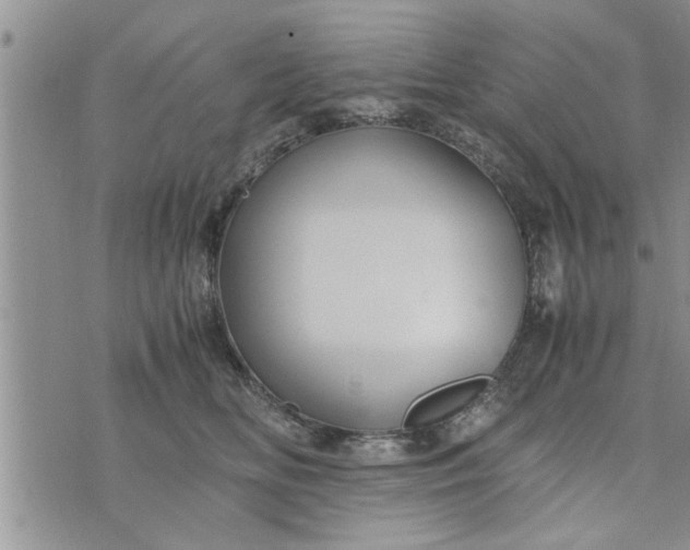 X0000075380518200609251155