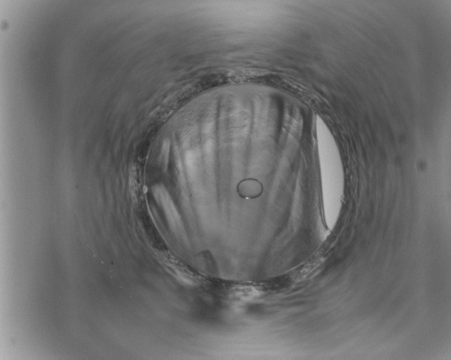 X0000075380519200609251155