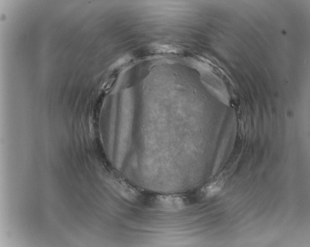 X0000075380520200609251155