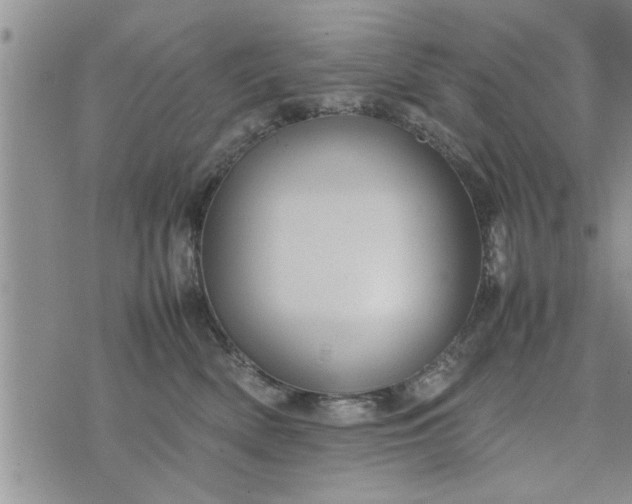 X0000075380522200609251155