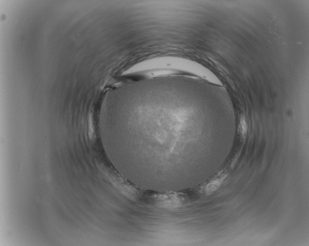 X0000075380524200609251155