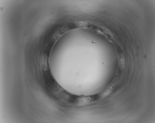 X0000075380525200609251155