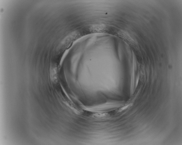 X0000075380526200609251155