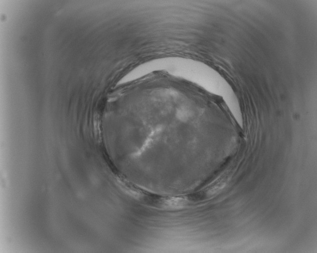 X0000075380527200609251155