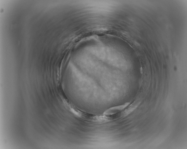 X0000075380528200609251155