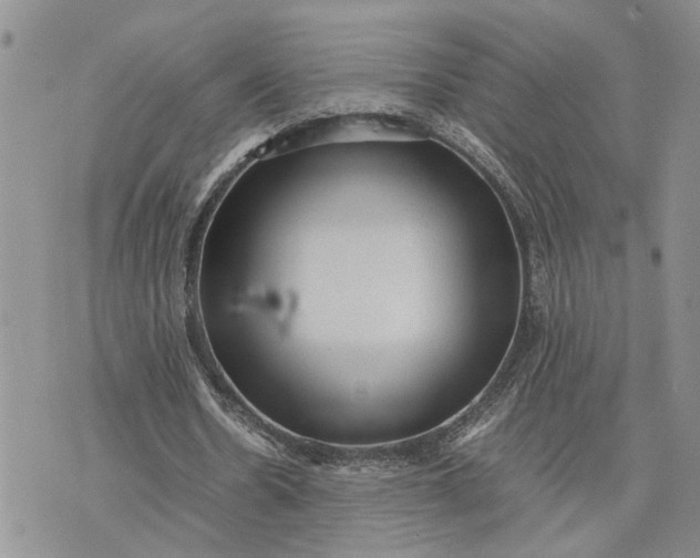 X0000075380530200609251154